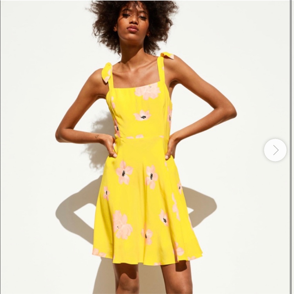 Zara Rustic Floral Yellow Pink Dress size S